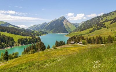 ¿Cuántas lenguas se hablan en Suiza?