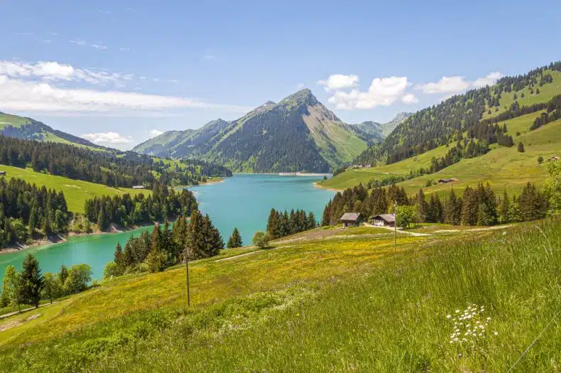 ¿Cuántas lenguas se hablan en Suiza? Cuántas lenguas se hablan en suiza