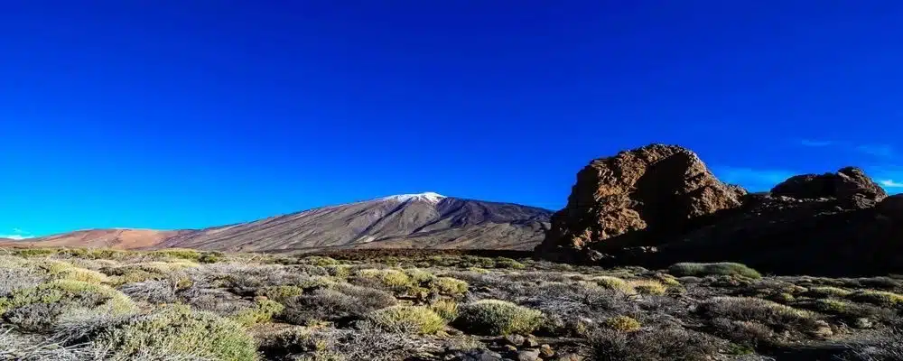 Interpretación en Tenerife