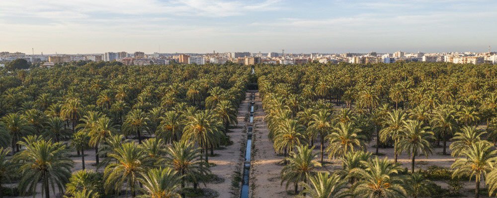 Traducción jurada en Elche