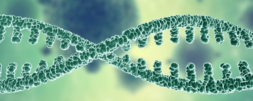 secuenciación genómica y anotaciones