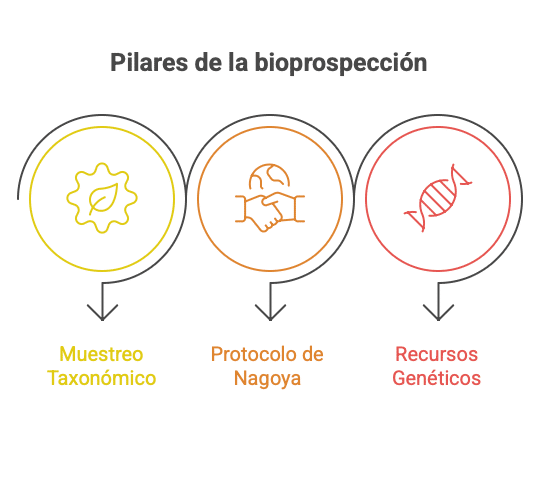 visual selection 9 edited